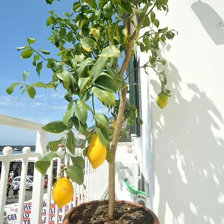 Core Amalfitano Nocleg ze śniadaniem Amalfi