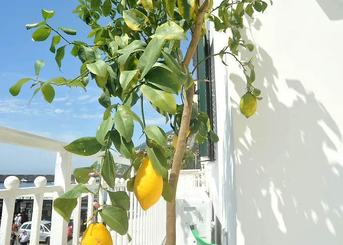 Core Amalfitano Bed & Breakfast Amalfi